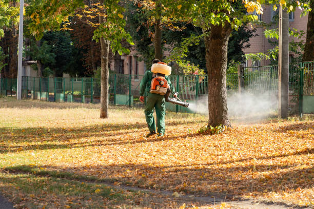 Lealman, FL Pest Control Company