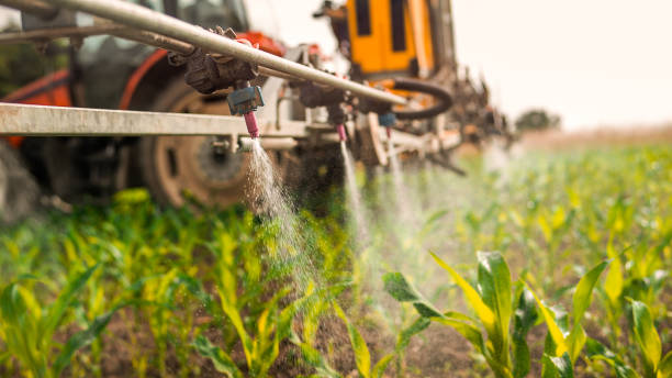 Best Mosquito Control Services  in Lealman, FL